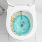 Toilet Cleaner